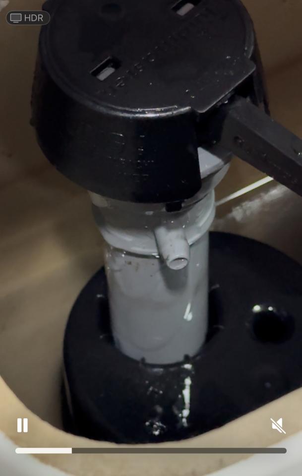 Toilet Installation & RepairJob photo