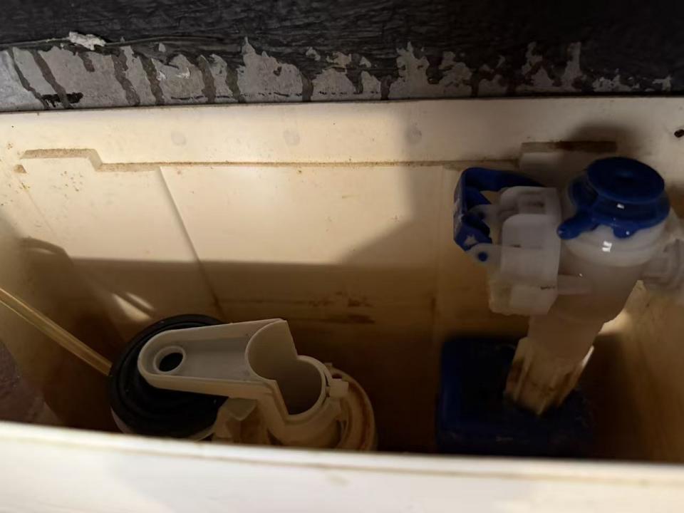 Toilet Installation & Repairjob photo