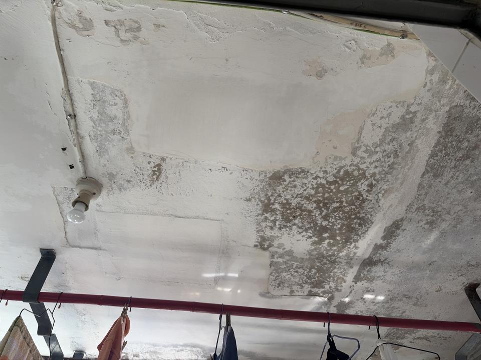 Wall PaintingJob photo