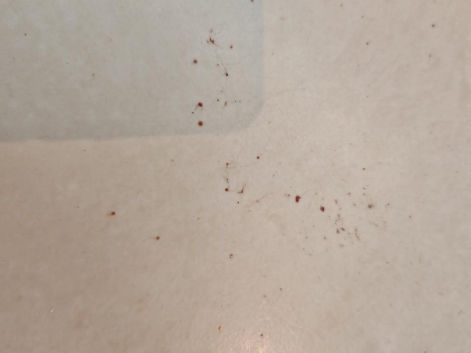 Tile RepairJob photo