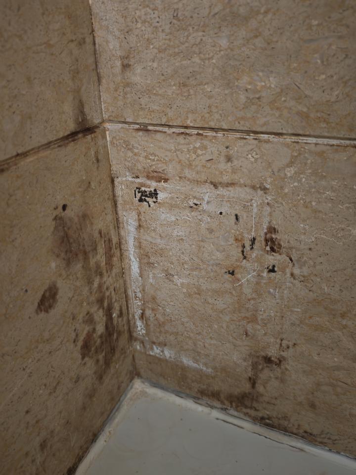 Tile RepairJob photo