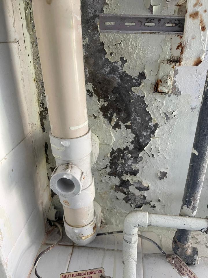 水喉水務工作照片