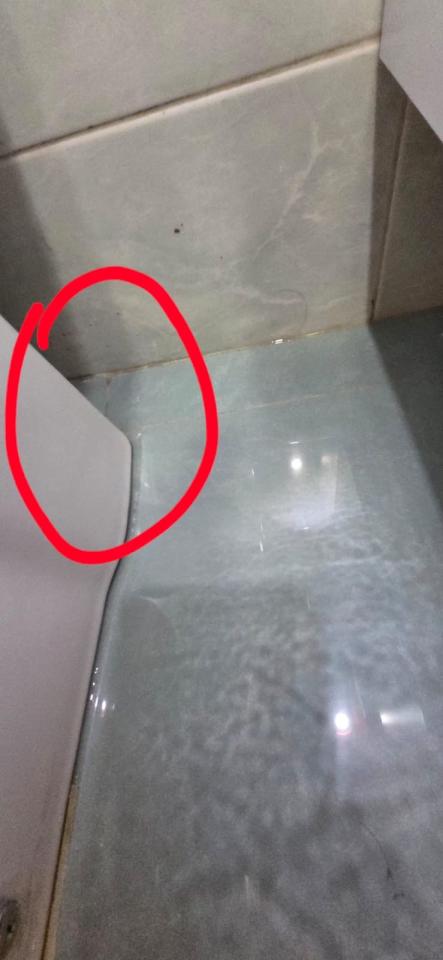 Toilet Installation & RepairJob photo