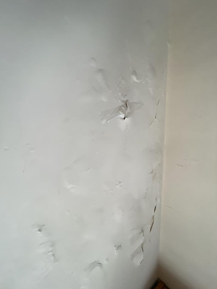 天花工程工作照片