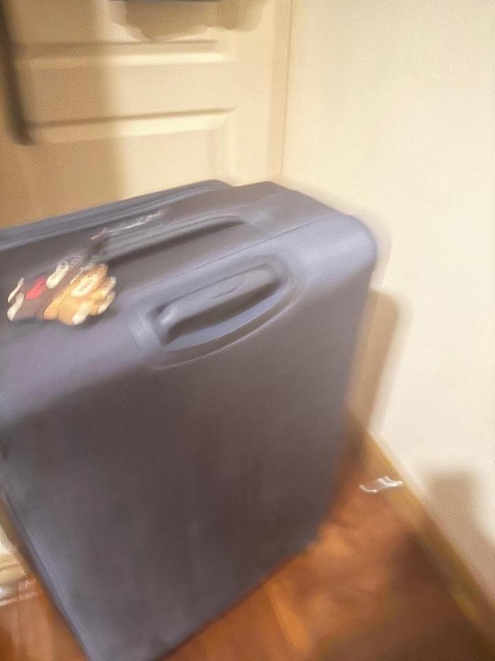 Luggage RepairJob photo