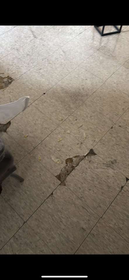 地板工程工作照片