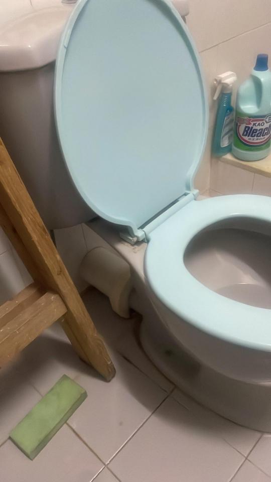 Toilet Installation & RepairJob photo