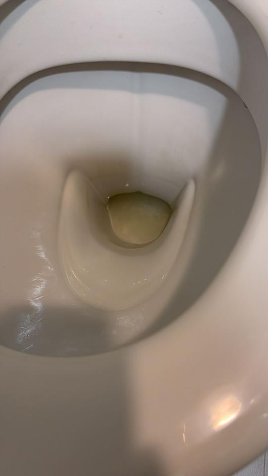 馬桶安裝工作照片