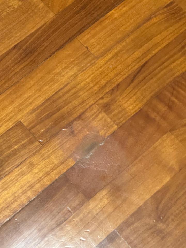 Flooring RepairJob photo