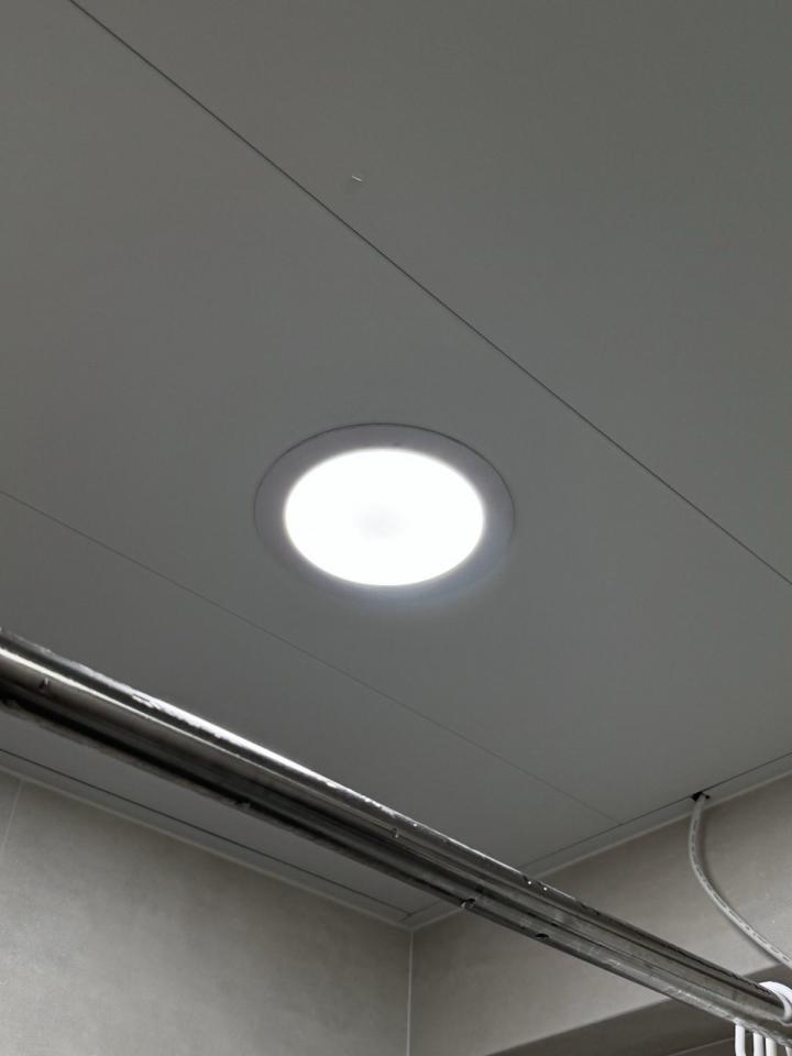 燈飾維修工作照片