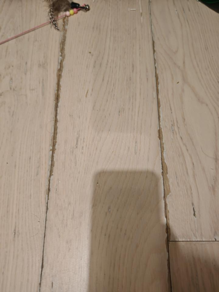 Flooring RepairJob photo