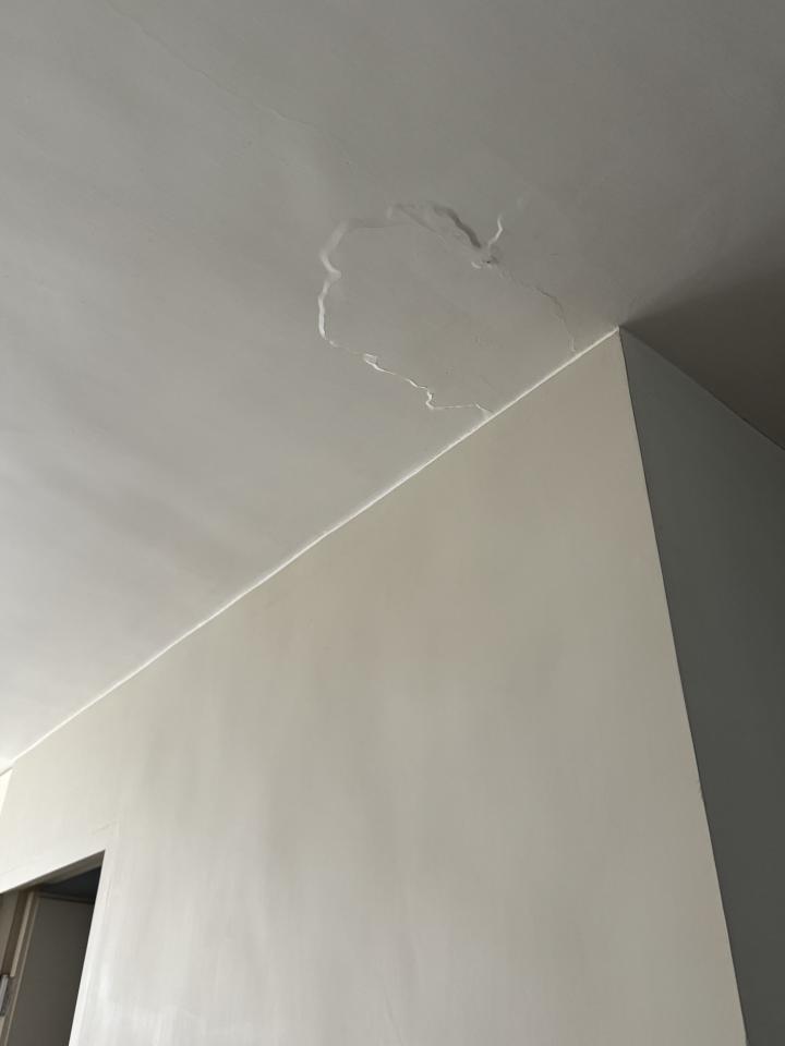 Ceiling RenovationJob photo