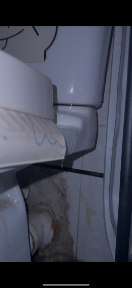 馬桶安裝工作照片