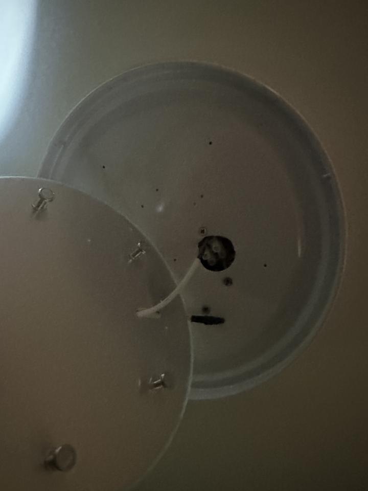 燈飾維修工作照片