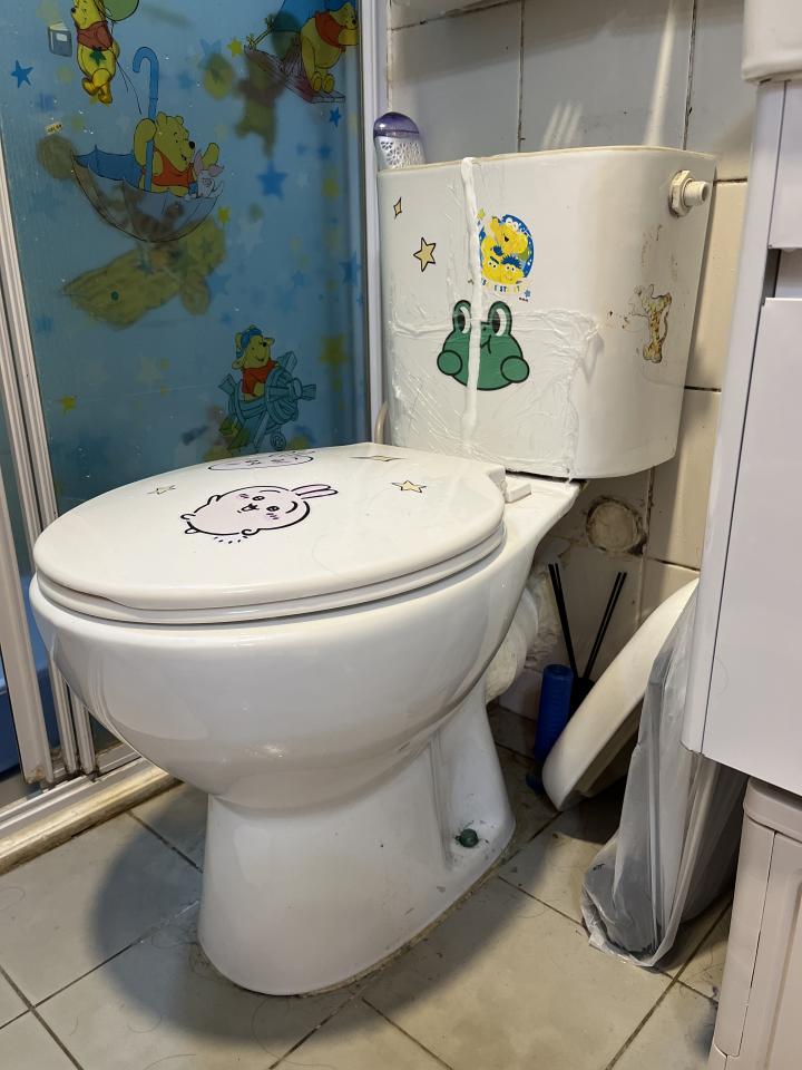 Toilet Installation & RepairJob photo