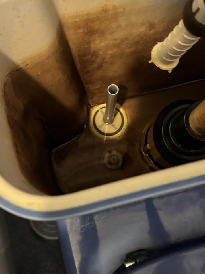 馬桶安裝工作照片