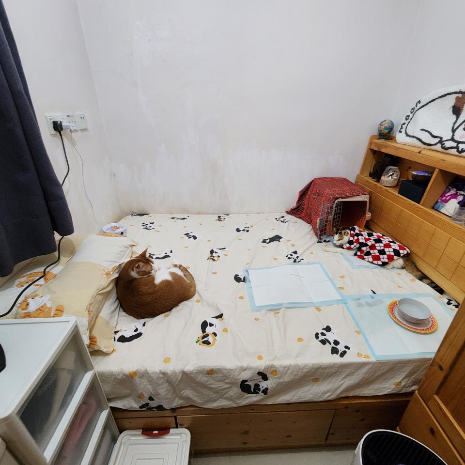 Furniture RecycleJob photo