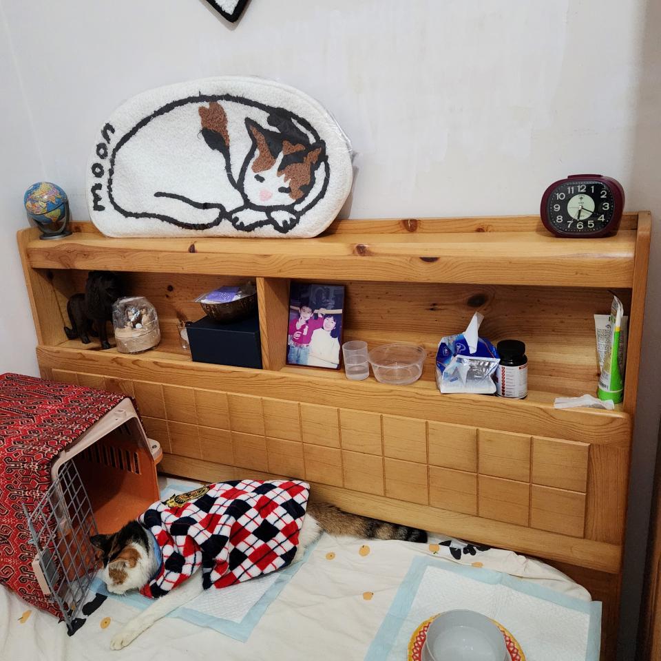 Furniture RecycleJob photo