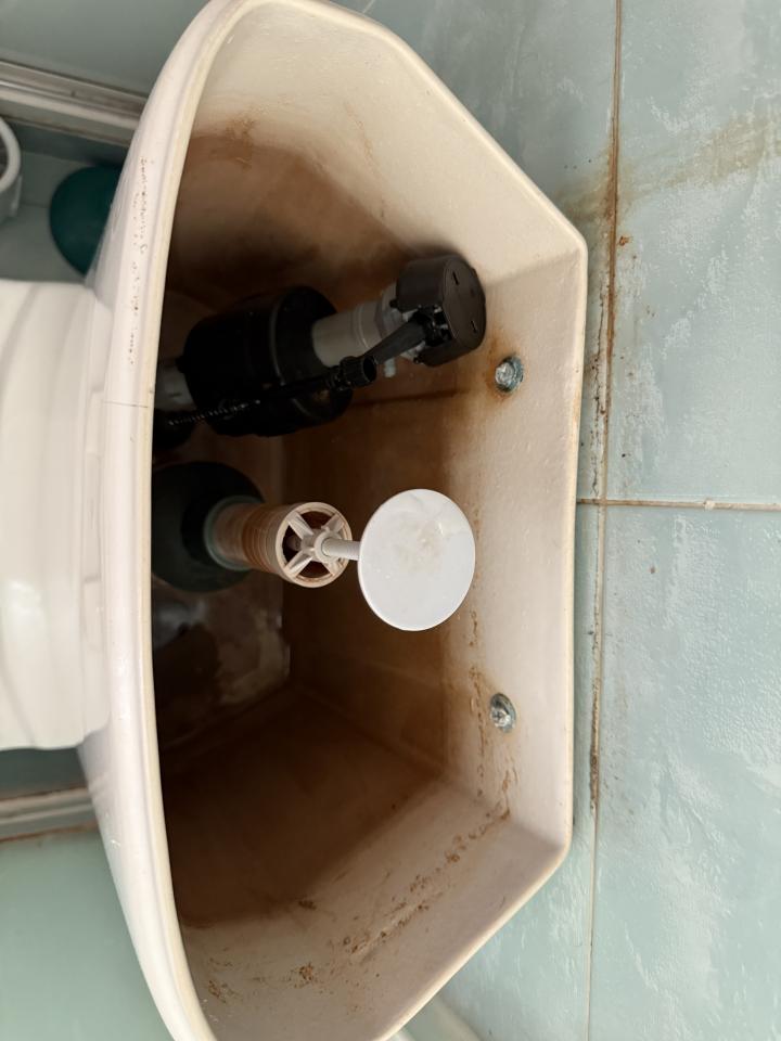 Toilet Installation & RepairJob photo