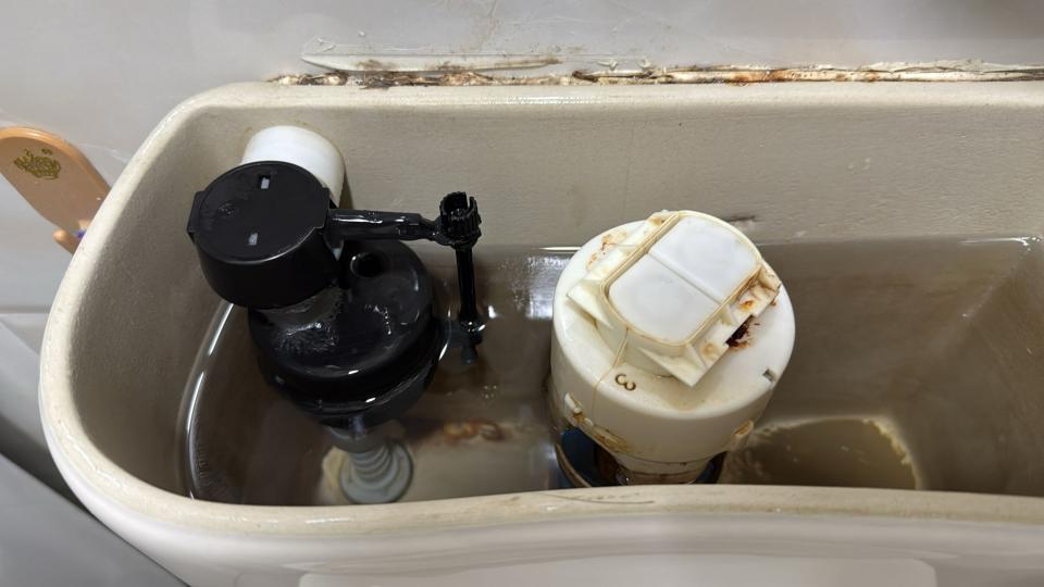 Toilet Installation & RepairJob photo
