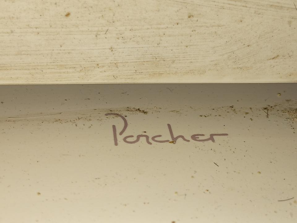 Toilet Installation & RepairJob photo