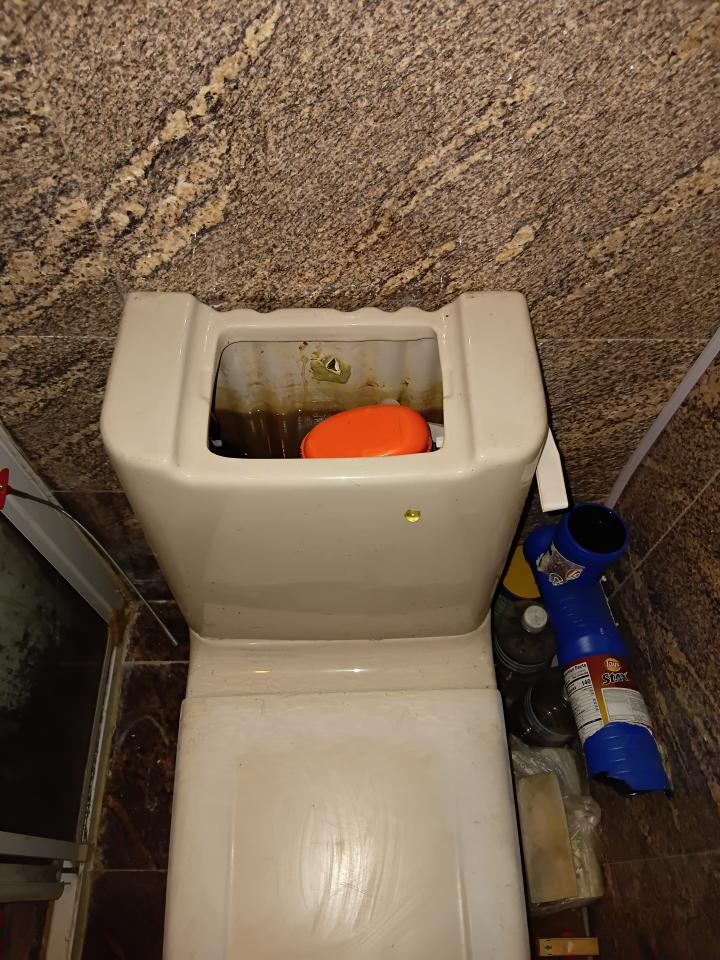 Toilet Installation & RepairJob photo
