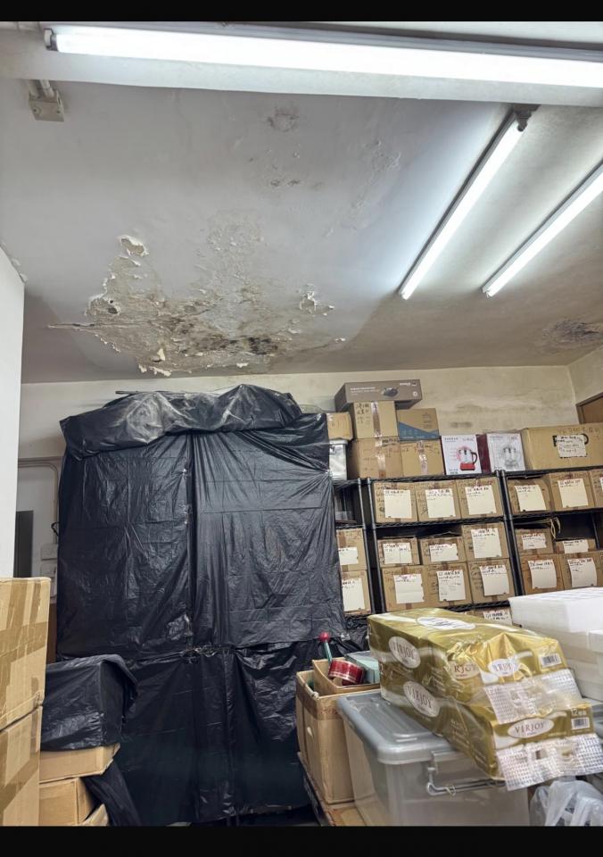 Wall PaintingJob photo