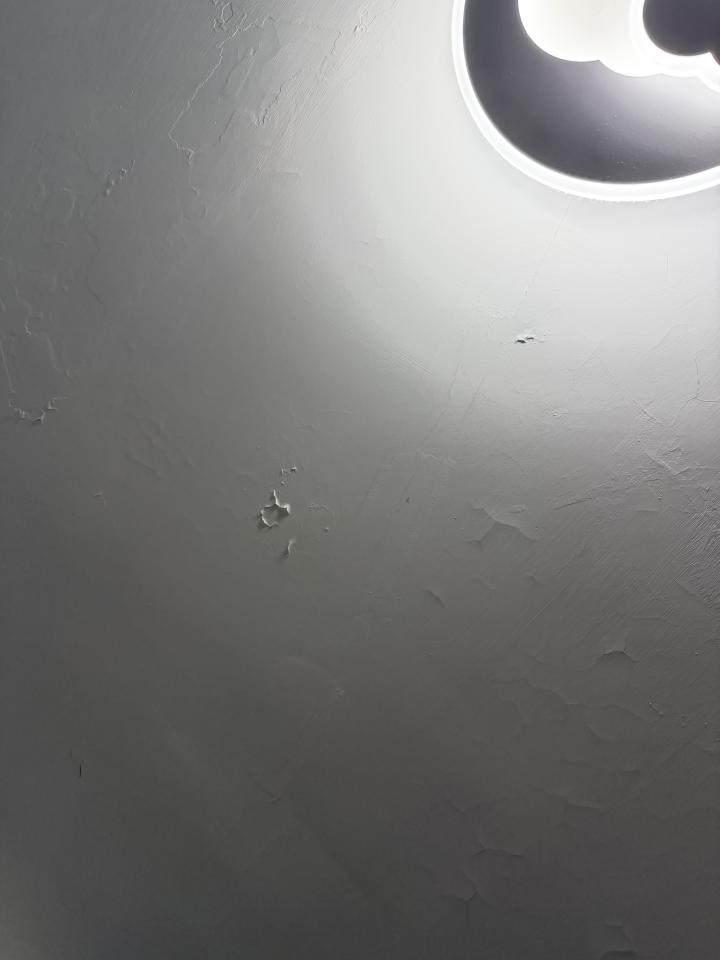 Wall PaintingJob photo