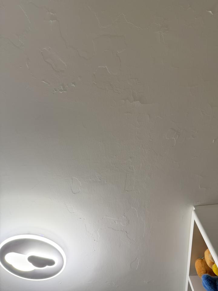 Wall PaintingJob photo