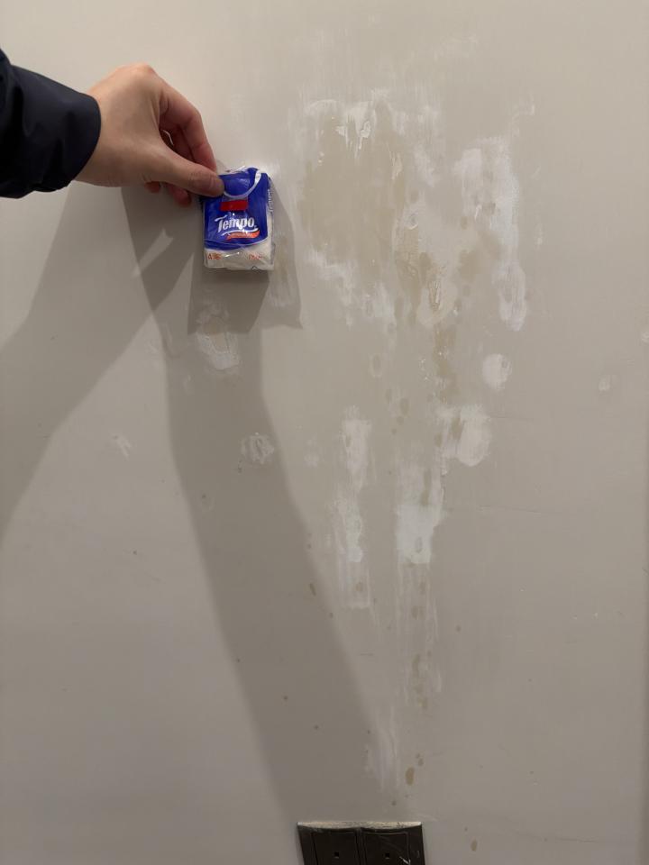 Wall PaintingJob photo