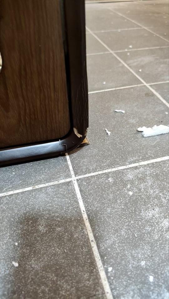 傢俬維修工作照片