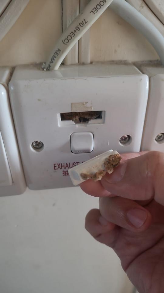 ElectricianJob photo