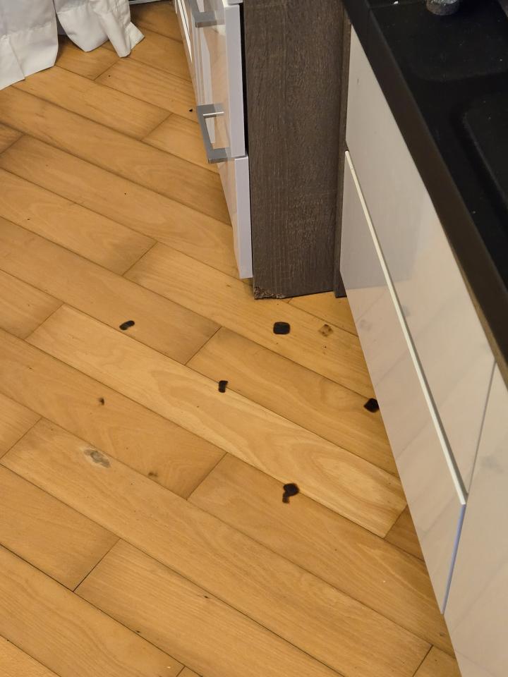 Flooring RepairJob photo