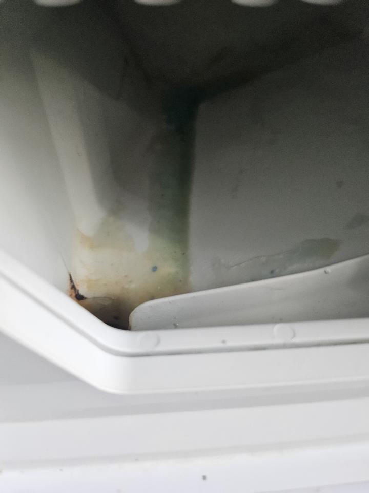 Washing Machine CleaningJob photo