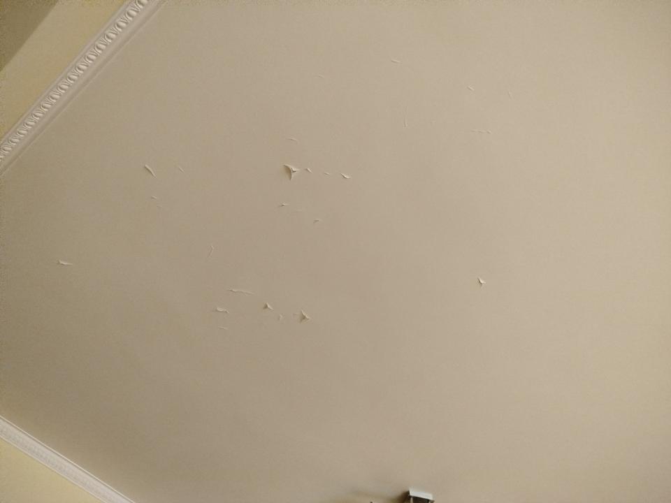 Wall PaintingJob photo