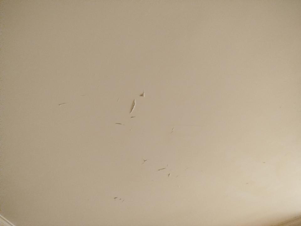 Wall PaintingJob photo