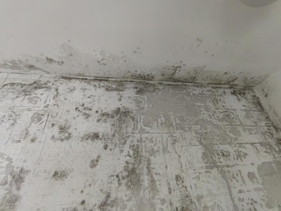 Water Leakage DetectionJob photo