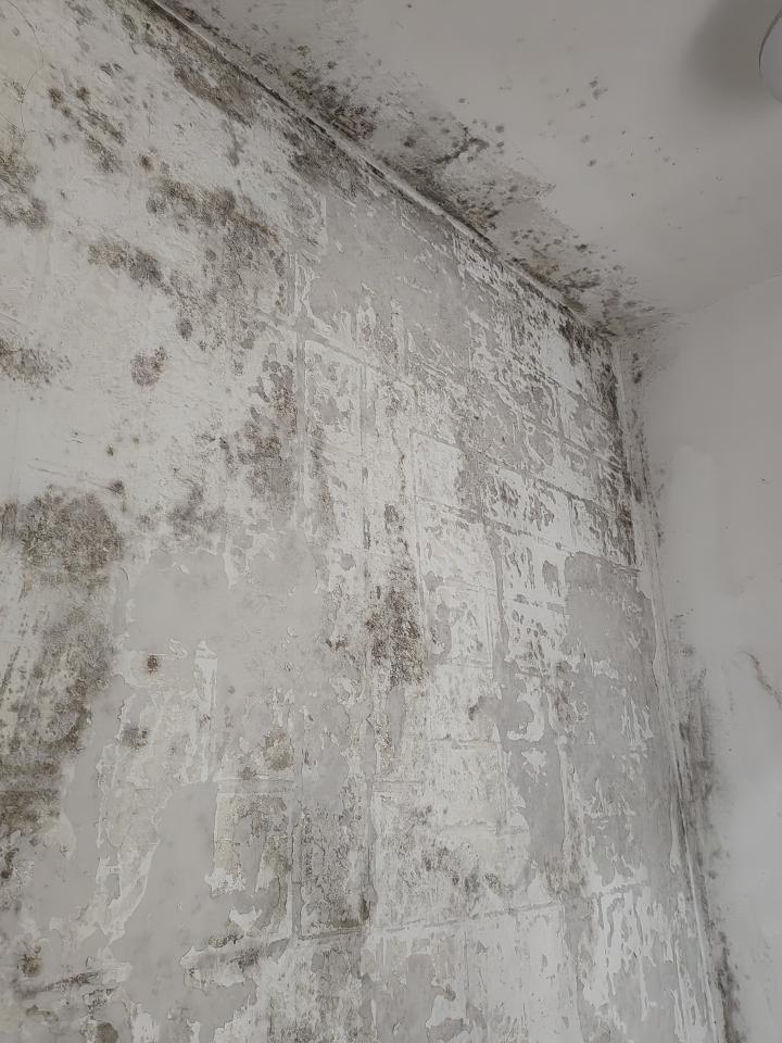 Water Leakage DetectionJob photo