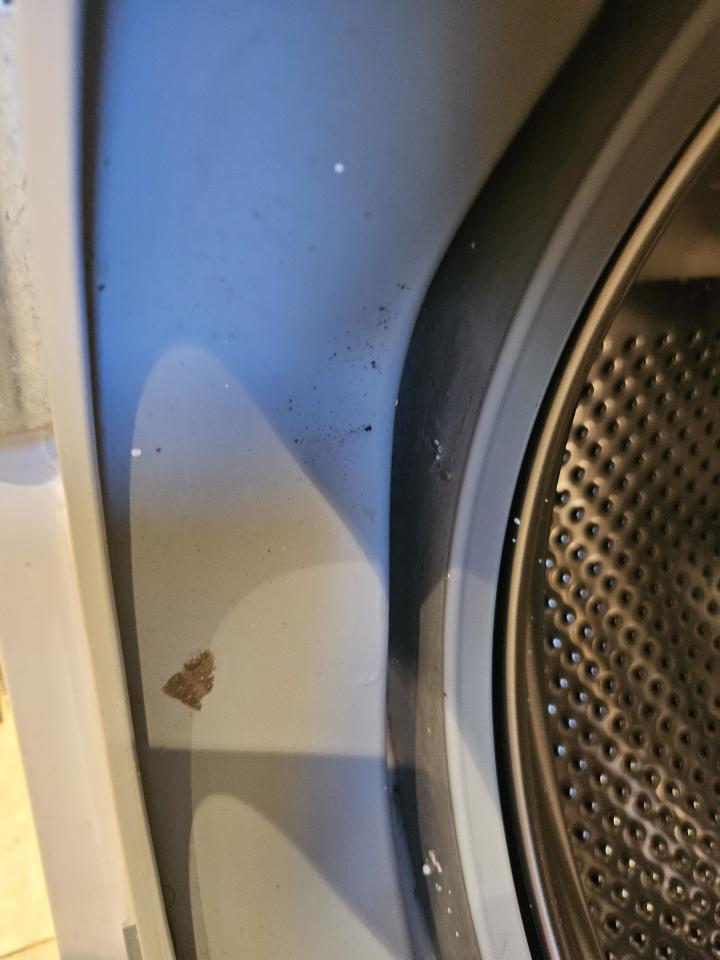 Washing Machine CleaningJob photo