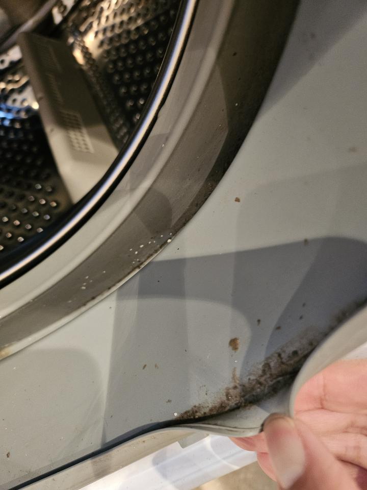 Washing Machine CleaningJob photo