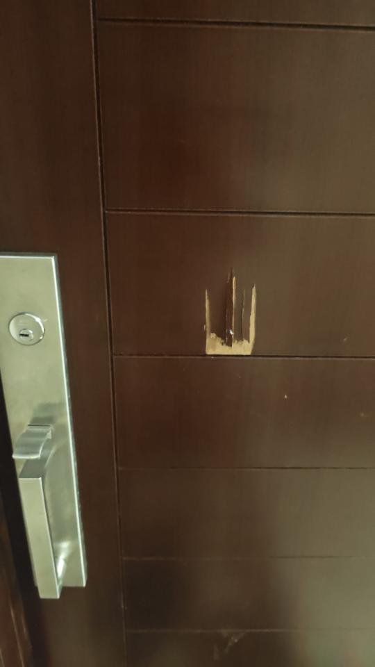 Door repairJob photo