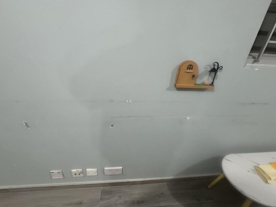 Wall PaintingJob photo