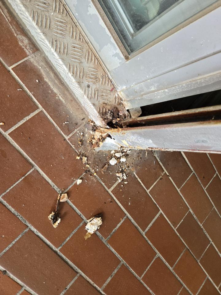 Roller shutter repairJob photo