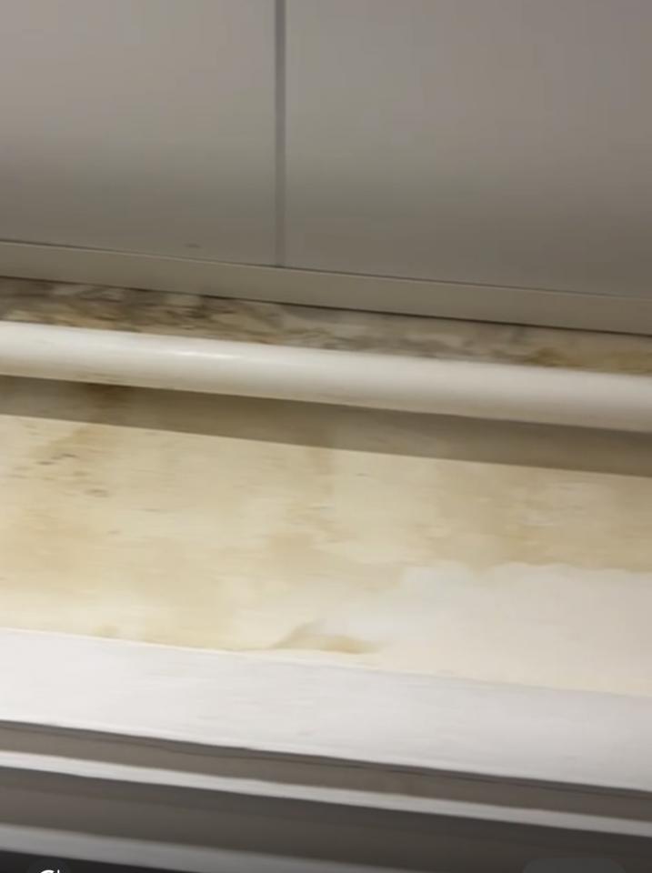 Wall PaintingJob photo