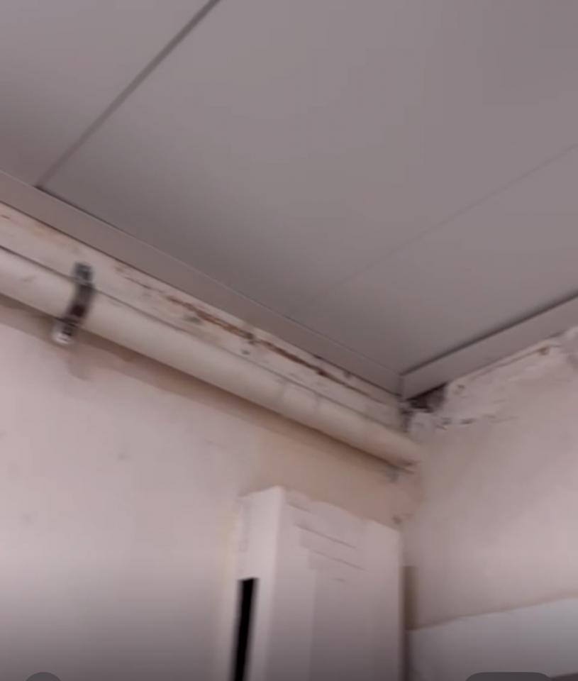 Wall PaintingJob photo