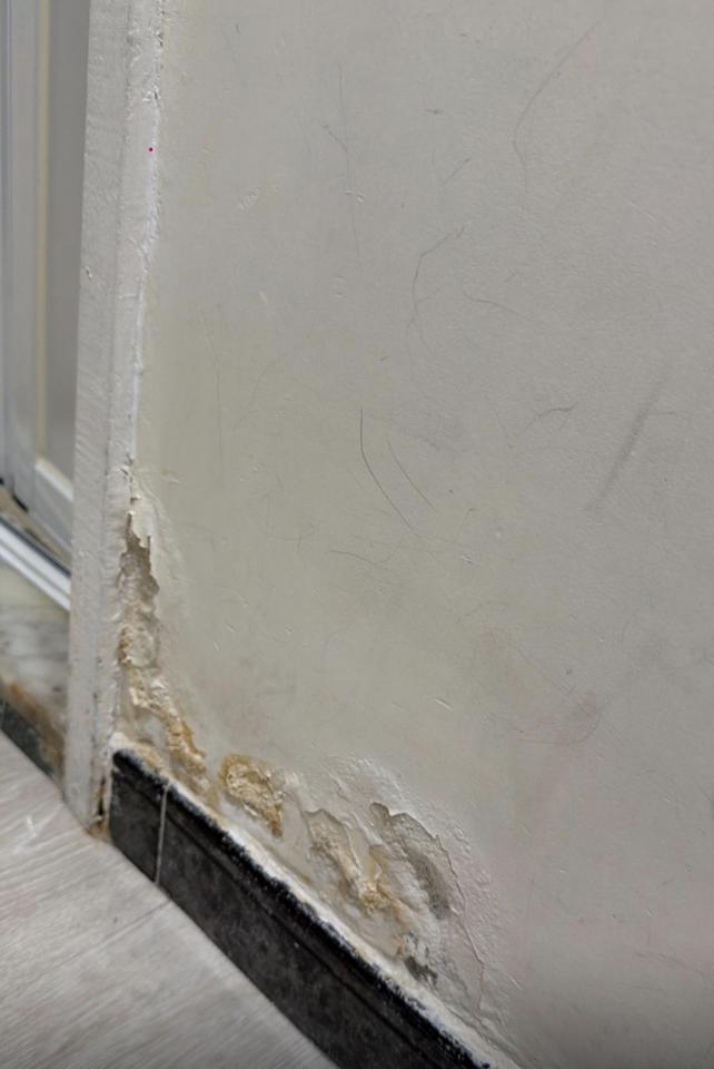 Wall PaintingJob photo