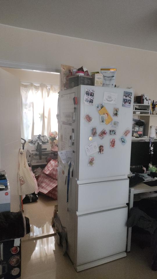 搬雪櫃工作照片