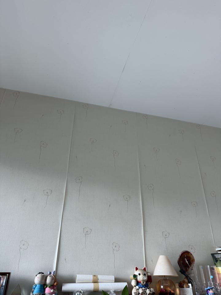 牆紙工程工作照片