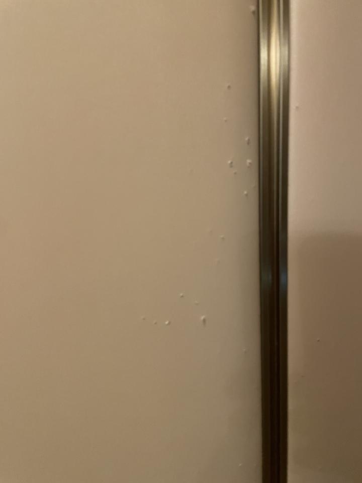 牆紙工程工作照片