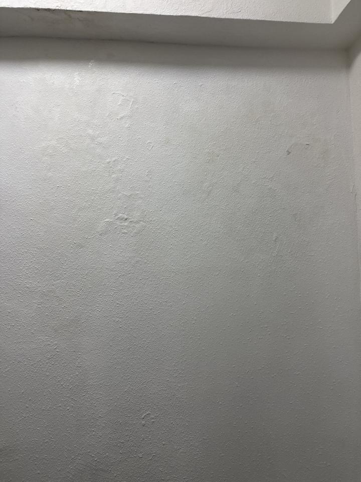 Wall PaintingJob photo